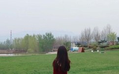 林妹妹高清MV在线观看